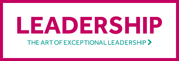 EXECUTIVE | FLEXIBLE EXECUTIVE - BE THE LEADER YOU KNOW YOU CAN BE